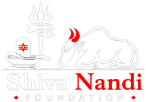 shiva nandi foundation logo - light